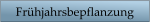 Frhjahrsbepflanzung
