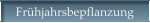 Frhjahrsbepflanzung